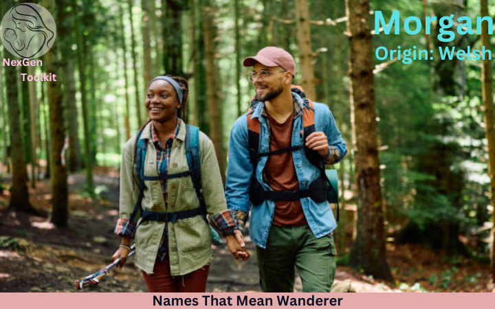 Names That Mean Wanderer 